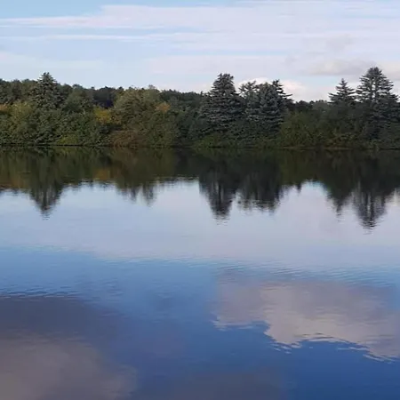 Quiet Comfort In Apartman Oelsnitz