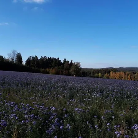 Apartman Quiet Comfort In