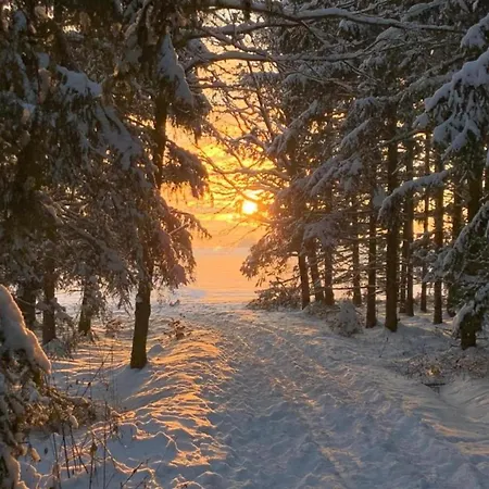 Quiet Comfort In Apartman *