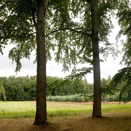 Apartman Quiet Comfort In *