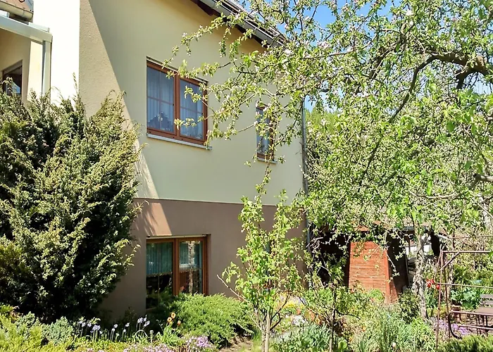 Quiet Comfort In 公寓