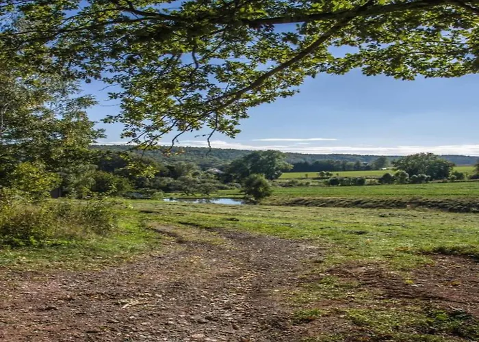 Quiet Comfort In Oelsnitz (Erzgebirge)