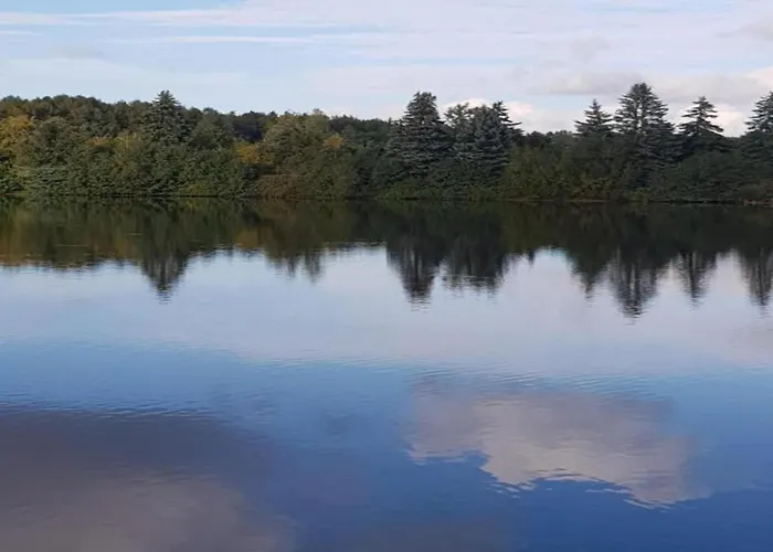 Quiet Comfort In 公寓 Oelsnitz (Erzgebirge)