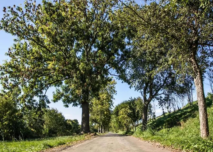 公寓 Quiet Comfort In