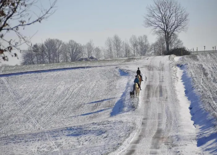 Quiet Comfort In Oelsnitz (Erzgebirge)
