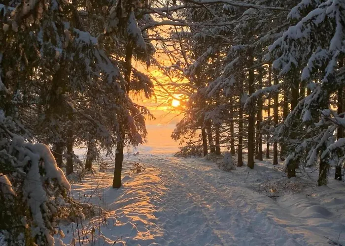 Quiet Comfort In 公寓 *