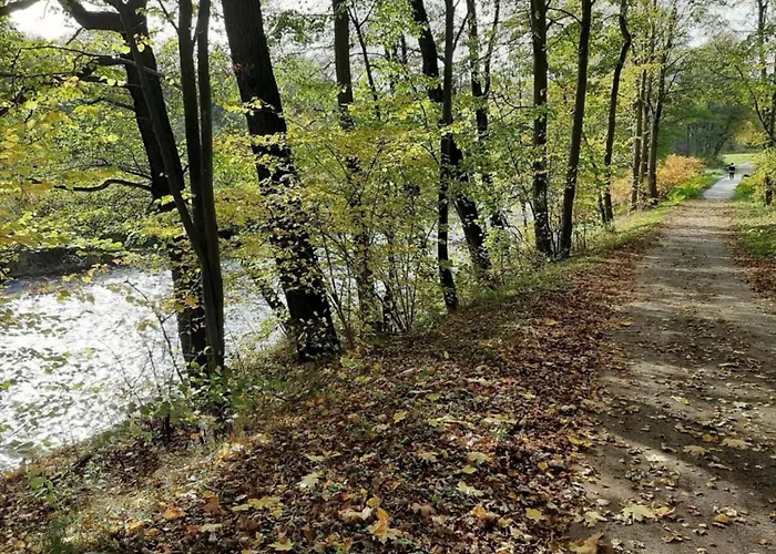 Quiet Comfort In 公寓