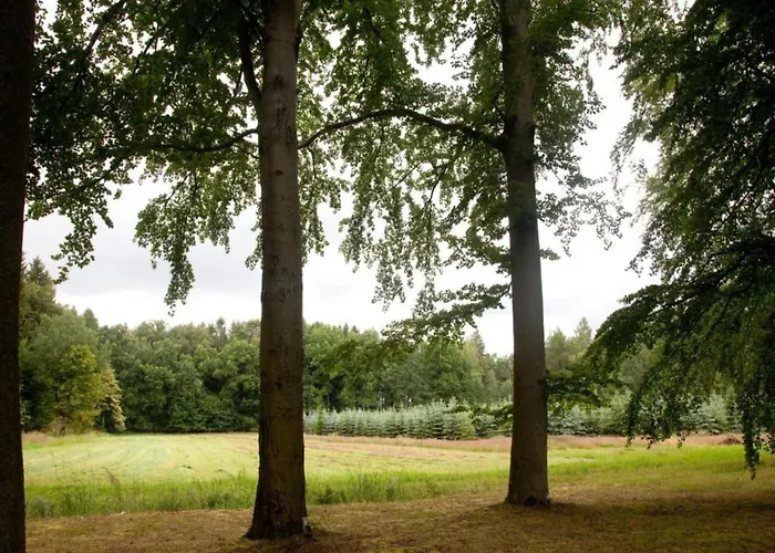 公寓 Quiet Comfort In *