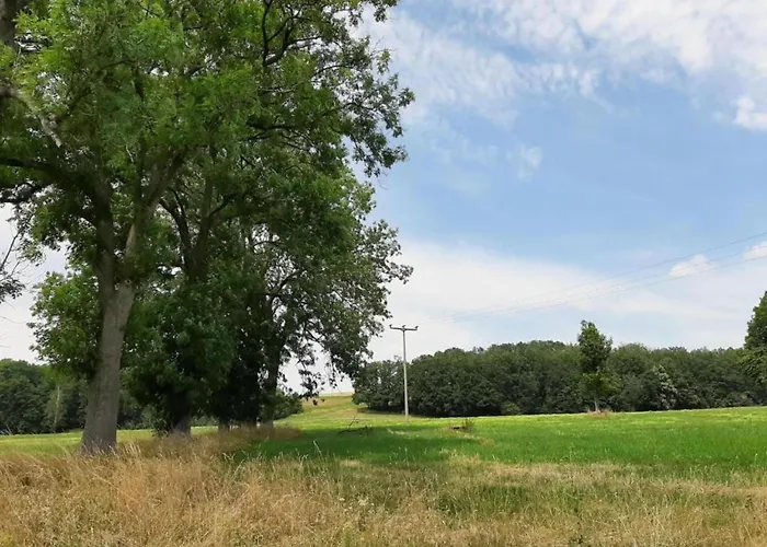 公寓 Quiet Comfort In Oelsnitz (Erzgebirge)